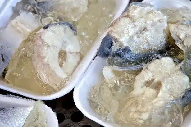 jellied eels